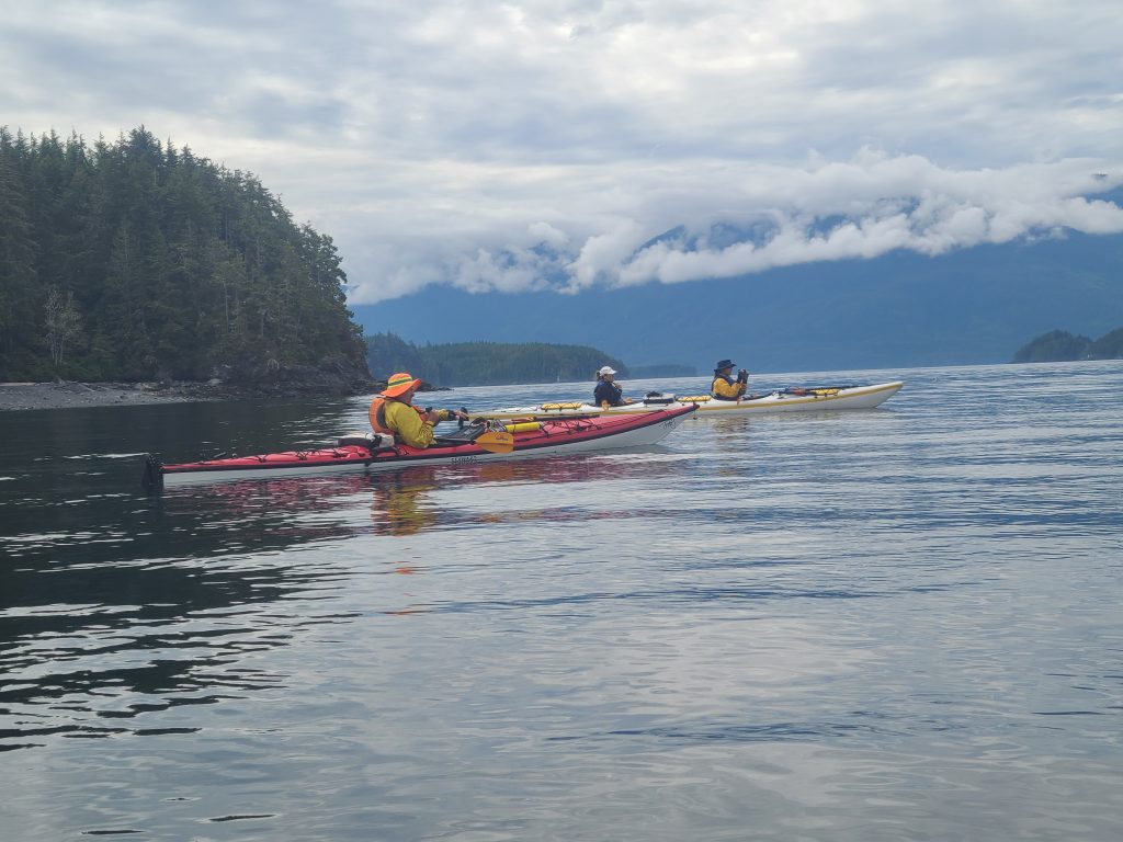 Johnstone Straight kayaking adventure
