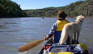 Canoeing the Yukon River